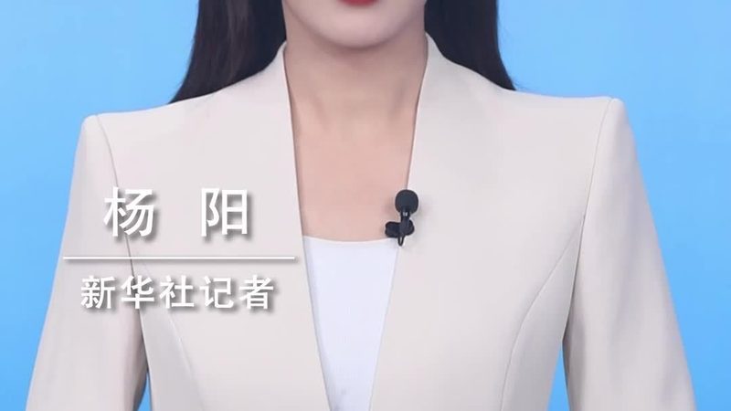 低代码平台：企业数字化转型的加速器**